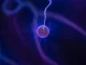 The parts of the atom and their properties