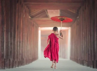 Zen Buddhism: what it is and 20 phrases to understand it