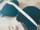 10 bra tricks every woman should know