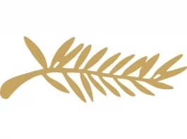 Cannes Film Festival, history and awards