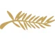 Cannes Film Festival, history and awards