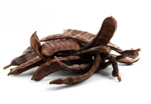 Discovering carob: from its benefits to its main uses in the kitchen