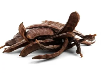 Discovering carob: from its benefits to its main uses in the kitchen