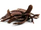 Discovering carob: from its benefits to its main uses in the kitchen