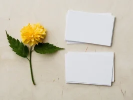 Film script: an important part of its success