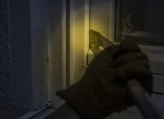 How to secure your home with style with a design fog alarm