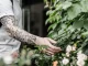 Japanese tattoos: the most tattooed symbols and their meaning