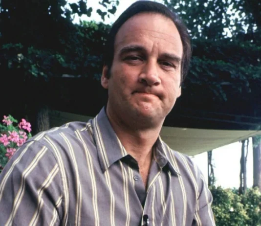 Jim Belushi: bio of the American actor