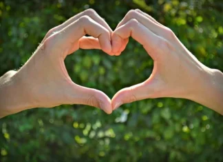 Kindly win back your ex: useful tips