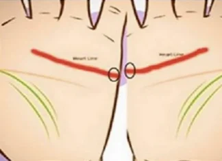 Lines of the hand: here are the meanings that are hidden there