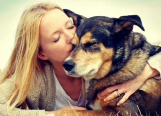 Paparazzi: here are the 15 VIPs surprised by the goals with the strangest reactions