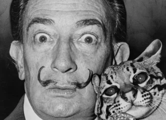 Salvador Dali, biography of the Spanish artist
