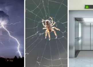 The most absurd (and not) phobias that VIPs have revealed