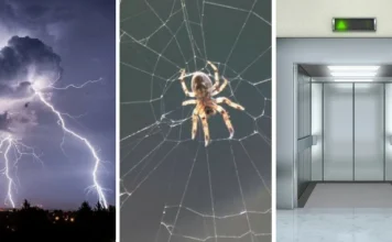 The most absurd (and not) phobias that VIPs have revealed