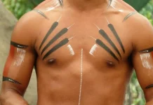 Tribal tattoos: origins and meaning of the most tattooed symbols
