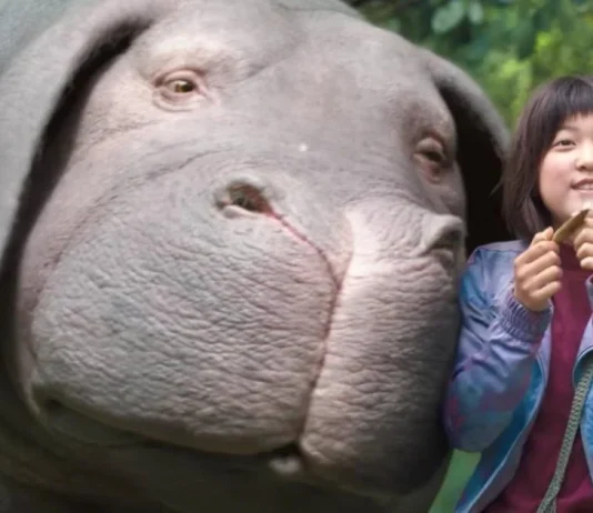 Best Netflix Movies To Watch Right Now